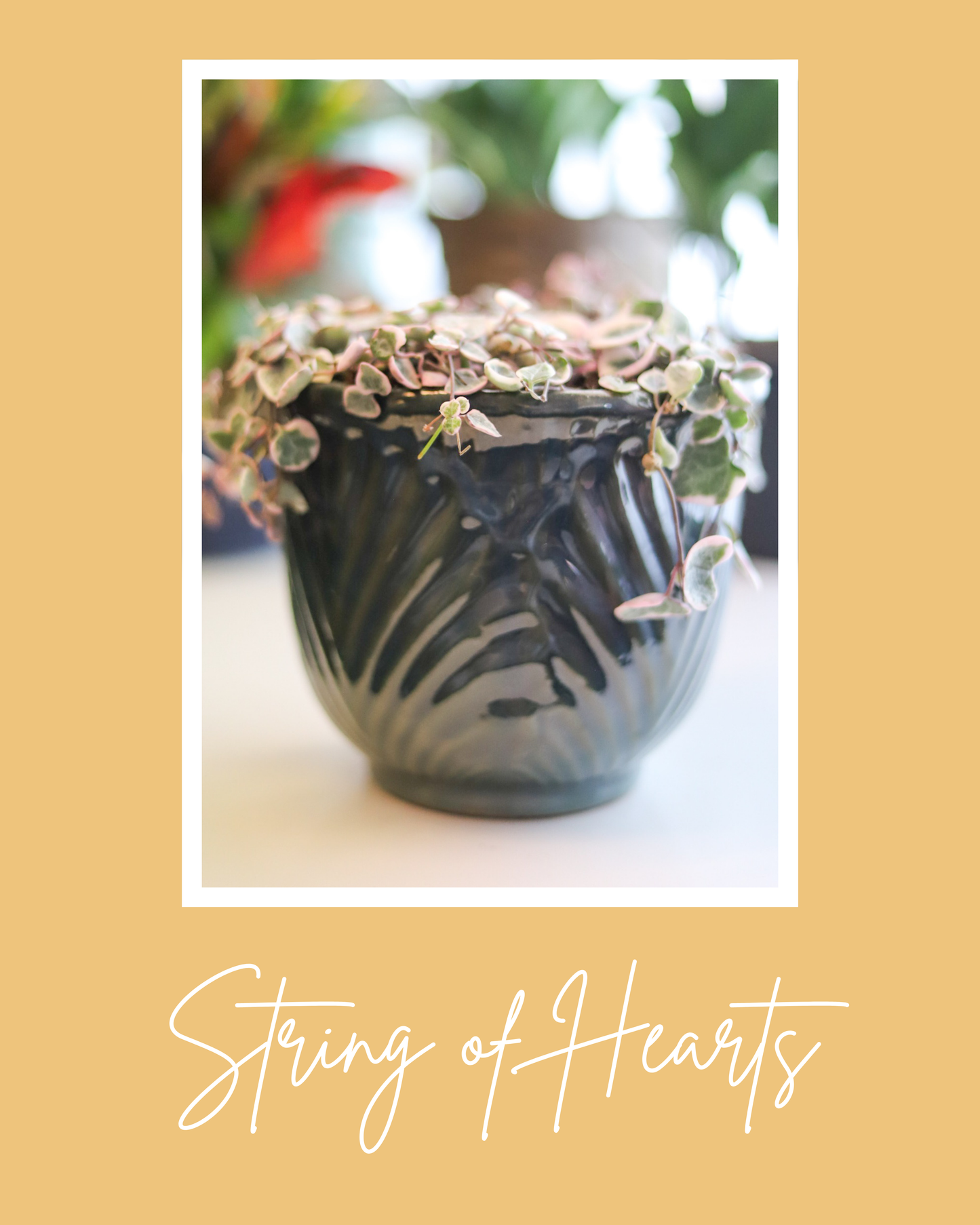 String of Hearts