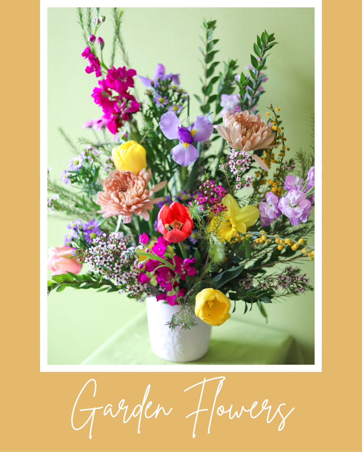 Garden Flowers