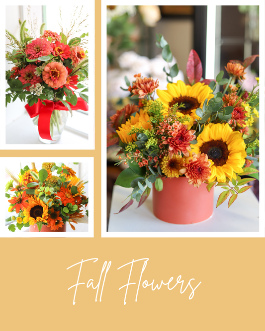 Fall Flowers