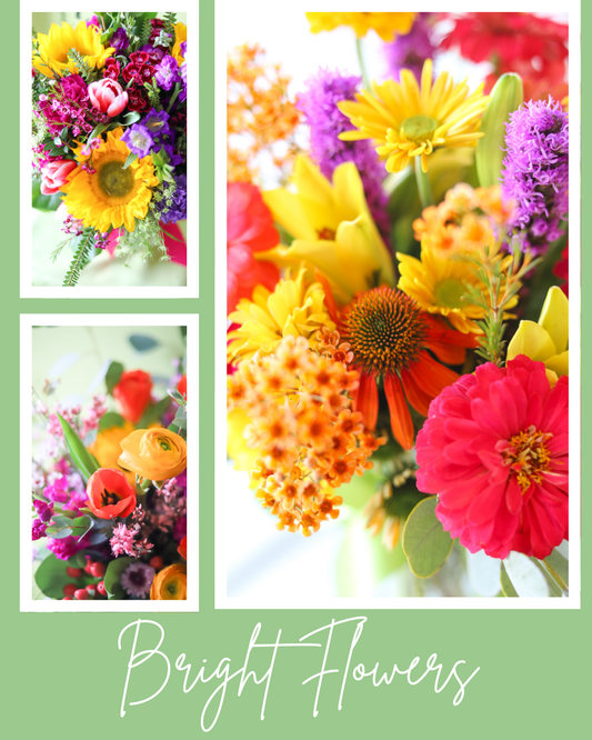 Bright Flowers