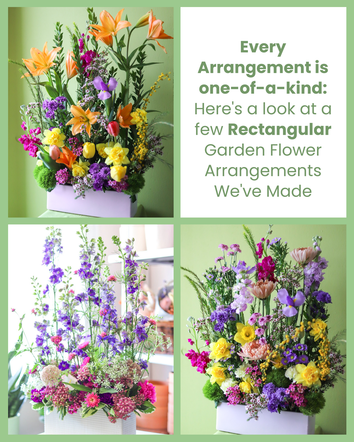 Garden Flowers
