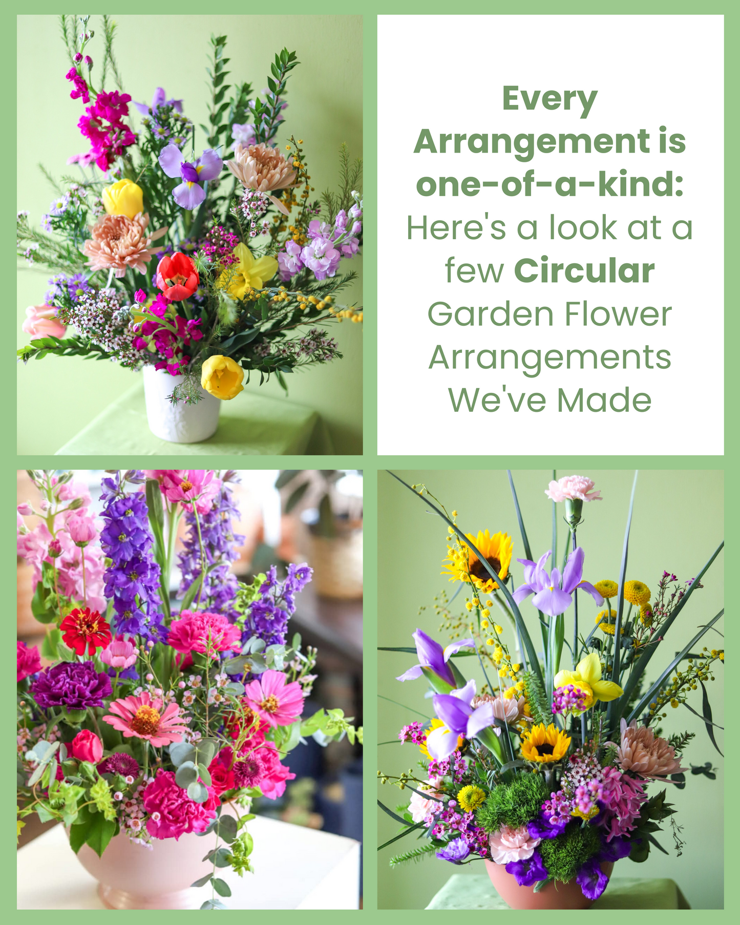 Garden Flowers
