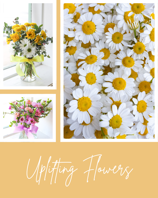 Uplifting Flowers