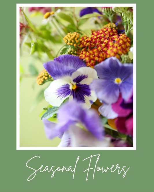 Seasonal Flowers